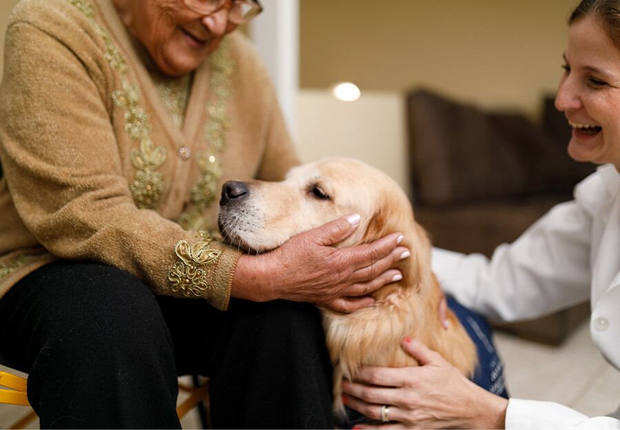 Elderly person and a caregiver petting a golden retriever in a cozy living space.