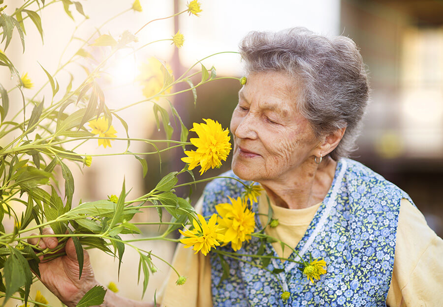 Elderly woman enjoying the scent of yellow flowers in a garden.